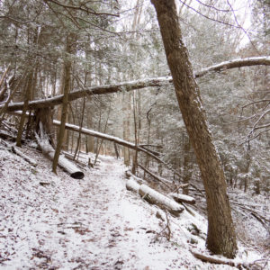 Hike at Lake nox