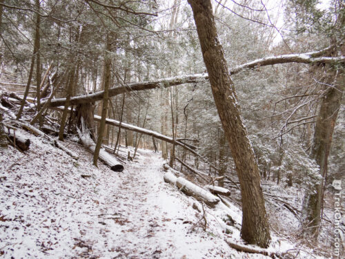 Hike at Lake nox