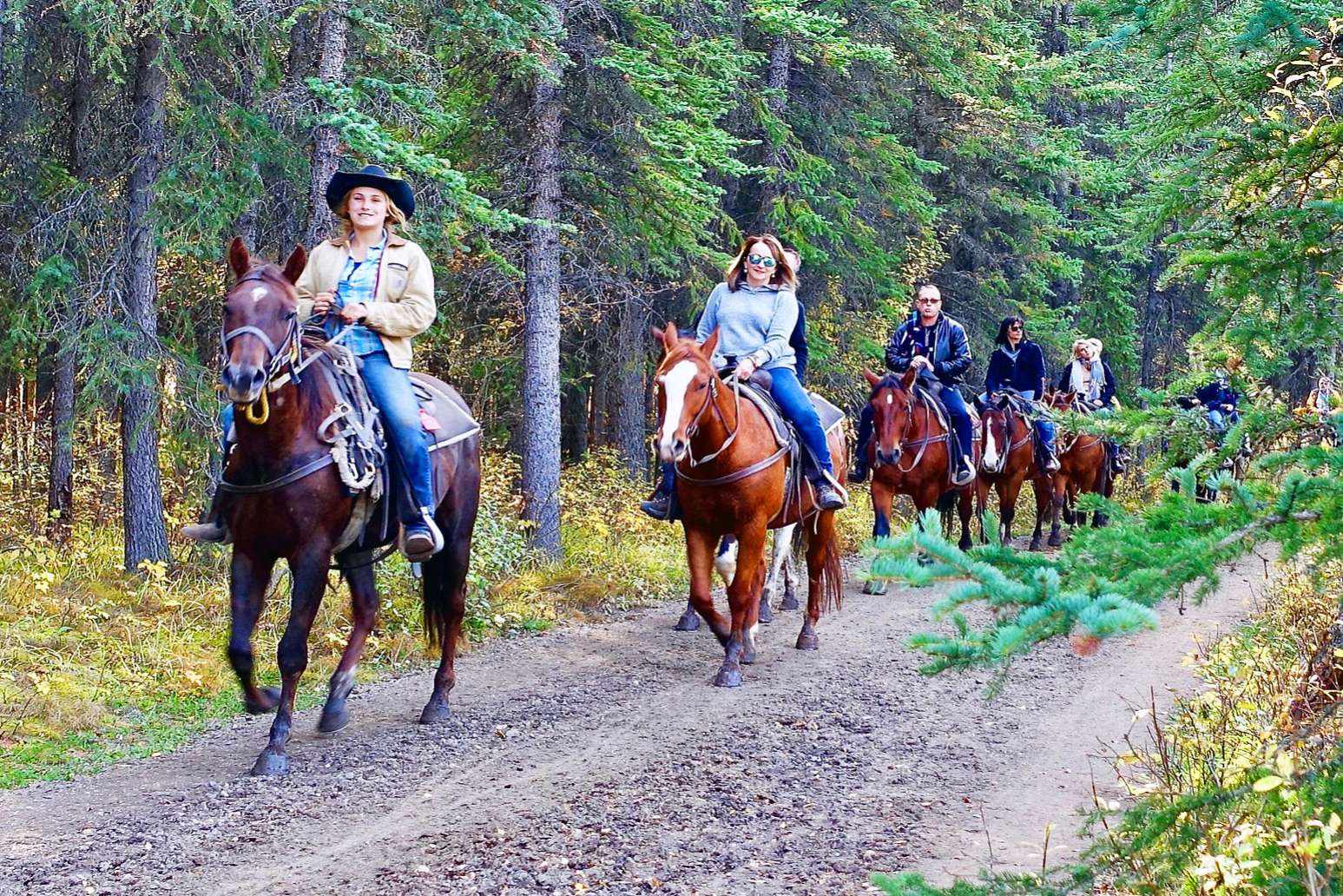 Guided horseback deals riding near me