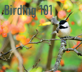 Birding 101 With the Wildlands Conservancy