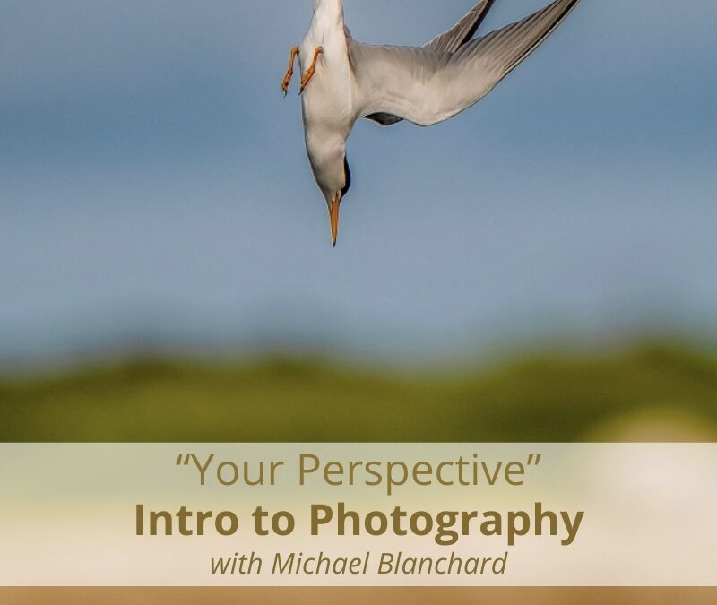 Your Perspective: Intro to Photography with Michael Blanchard