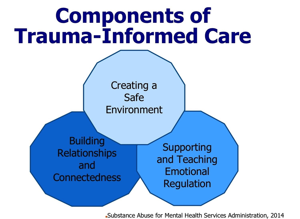 trauma infromed care training