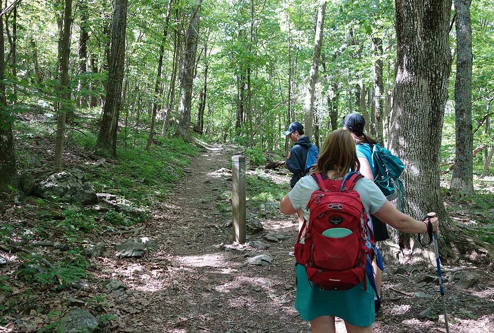Plainfield Township Rail Trail – Beginner Hiking Series 05.07.2022