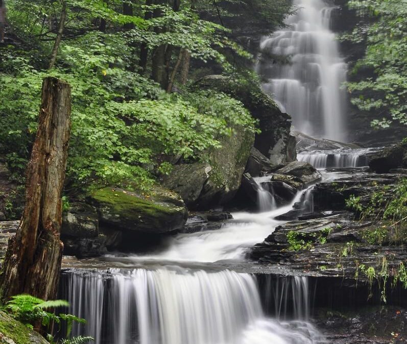 Ricketts Glen with Sync’s Low Impact Hikers