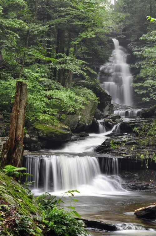 water fall at Ricketts Glen